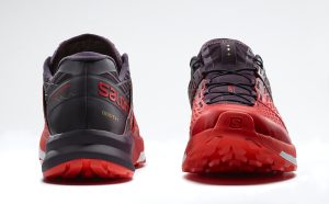 salomon 50 euro