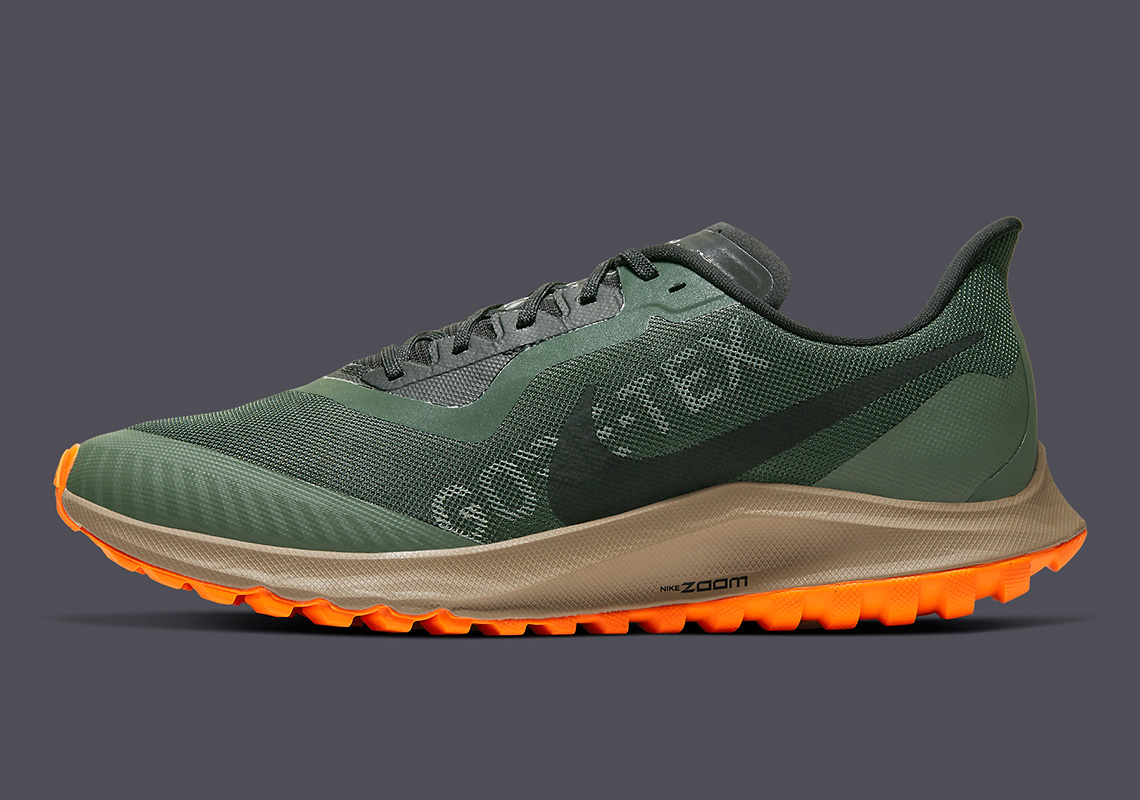Nike Pegasus 36 Trail GORE-TEX Invisible fit - 4ActionSport